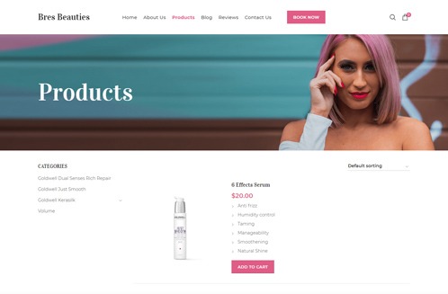 Bres1 website design in santa rosa