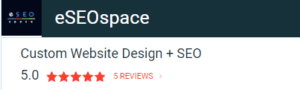 eSEOspace is one of the Game Changers is San Diego’s SEO Space