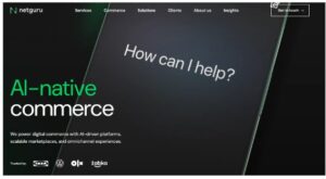 1. Netguru